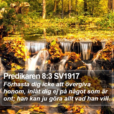 Predikaren 8:3 SV1917 Bible Verse Image