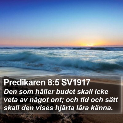 Predikaren 8:5 SV1917 Bible Verse Image