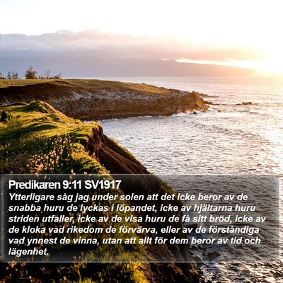 Predikaren 9:11 SV1917 Bible Verse Image