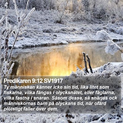 Predikaren 9:12 SV1917 Bible Verse Image