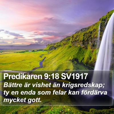 Predikaren 9:18 SV1917 Bible Verse Image