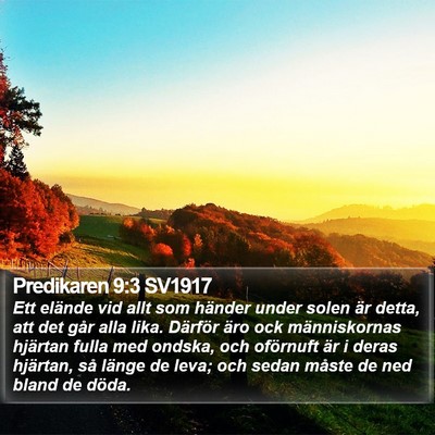 Predikaren 9:3 SV1917 Bible Verse Image
