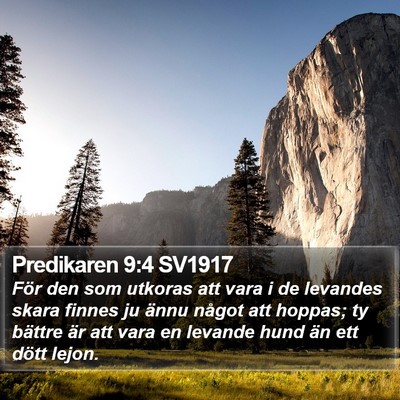 Predikaren 9:4 SV1917 Bible Verse Image
