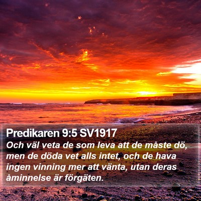 Predikaren 9:5 SV1917 Bible Verse Image