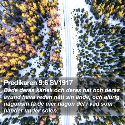 Predikaren 9:6 SV1917 Bible Verse Image