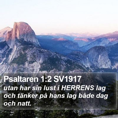 Psaltaren 1:2 SV1917 Bible Verse Image
