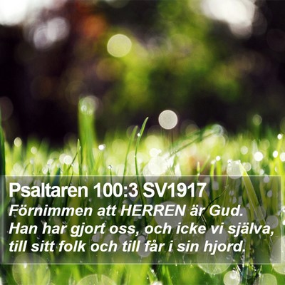 Psaltaren 100:3 SV1917 Bible Verse Image
