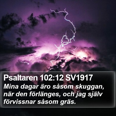 Psaltaren 102:12 SV1917 Bible Verse Image