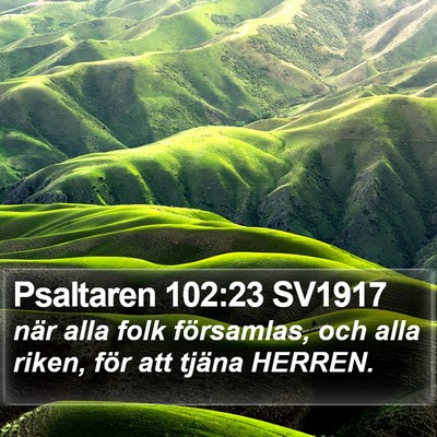 Psaltaren 102:23 SV1917 Bible Verse Image