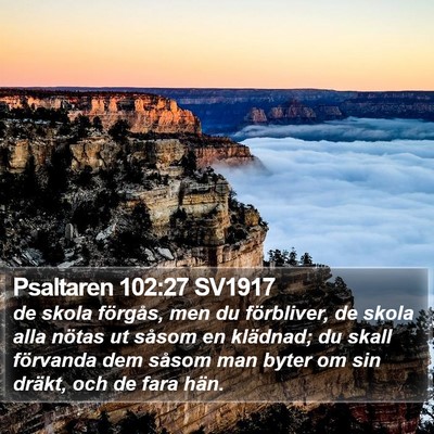 Psaltaren 102:27 SV1917 Bible Verse Image