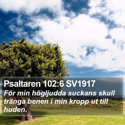 Psaltaren 102:6 SV1917 Bible Verse Image