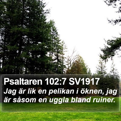 Psaltaren 102:7 SV1917 Bible Verse Image