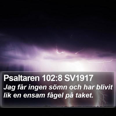 Psaltaren 102:8 SV1917 Bible Verse Image