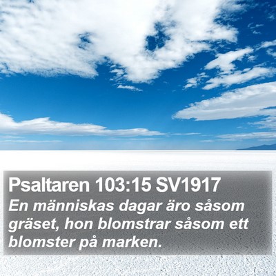 Psaltaren 103:15 SV1917 Bible Verse Image