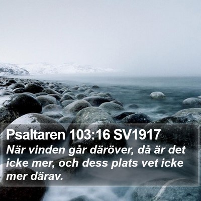 Psaltaren 103:16 SV1917 Bible Verse Image