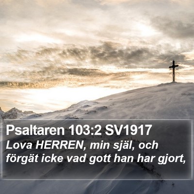Psaltaren 103:2 SV1917 Bible Verse Image