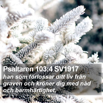 Psaltaren 103:4 SV1917 Bible Verse Image