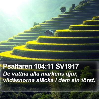 Psaltaren 104:11 SV1917 Bible Verse Image