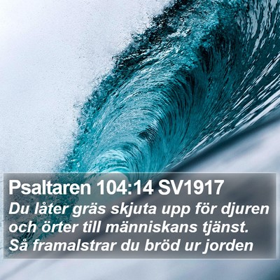 Psaltaren 104:14 SV1917 Bible Verse Image