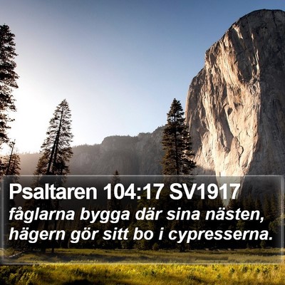 Psaltaren 104:17 SV1917 Bible Verse Image