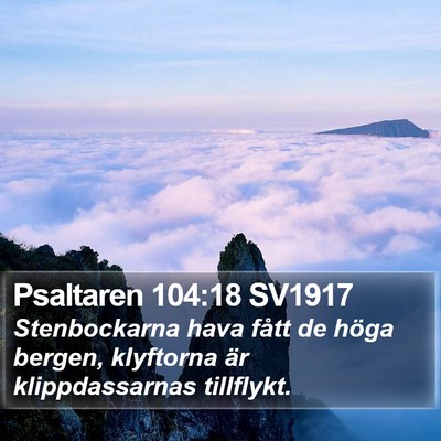 Psaltaren 104:18 SV1917 Bible Verse Image
