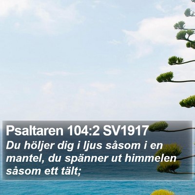 Psaltaren 104:2 SV1917 Bible Verse Image