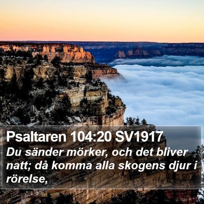 Psaltaren 104:20 SV1917 Bible Verse Image
