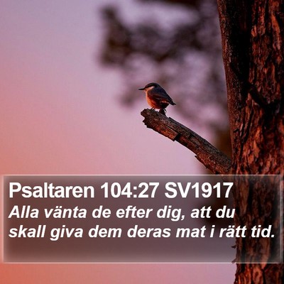 Psaltaren 104:27 SV1917 Bible Verse Image
