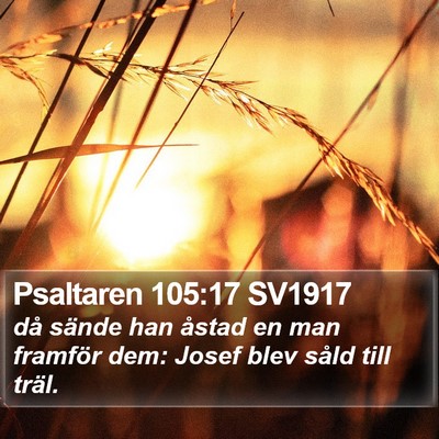 Psaltaren 105:17 SV1917 Bible Verse Image