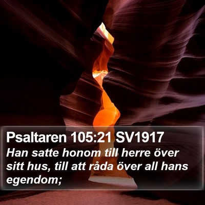 Psaltaren 105:21 SV1917 Bible Verse Image
