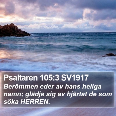 Psaltaren 105:3 SV1917 Bible Verse Image