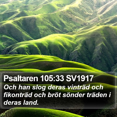 Psaltaren 105:33 SV1917 Bible Verse Image