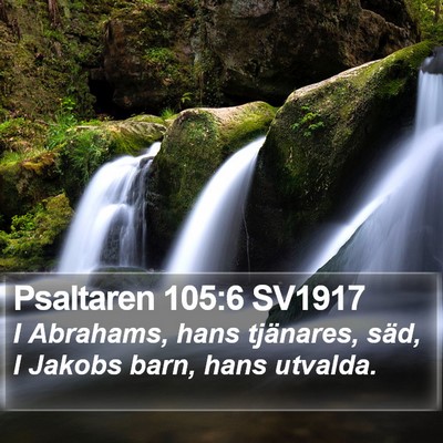 Psaltaren 105:6 SV1917 Bible Verse Image