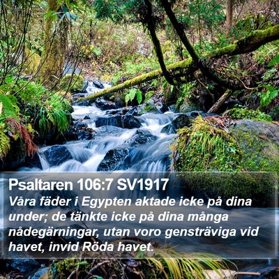 Psaltaren 106:7 SV1917 Bible Verse Image