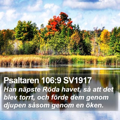 Psaltaren 106:9 SV1917 Bible Verse Image