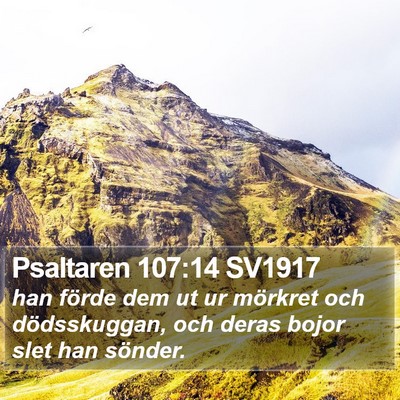 Psaltaren 107:14 SV1917 Bible Verse Image