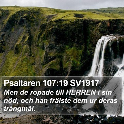 Psaltaren 107:19 SV1917 Bible Verse Image