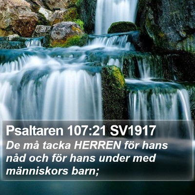 Psaltaren 107:21 SV1917 Bible Verse Image