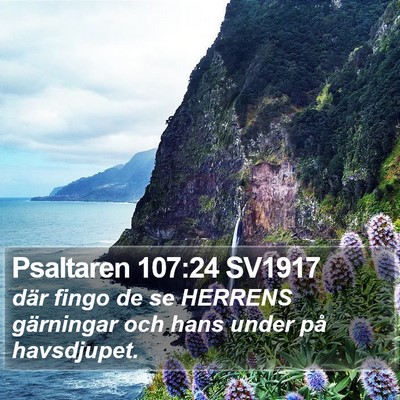 Psaltaren 107:24 SV1917 Bible Verse Image