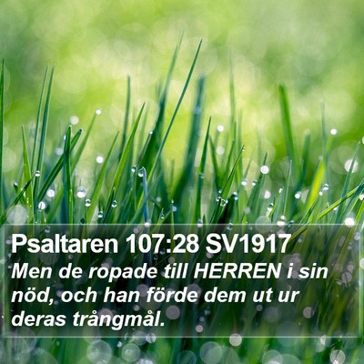 Psaltaren 107:28 SV1917 Bible Verse Image