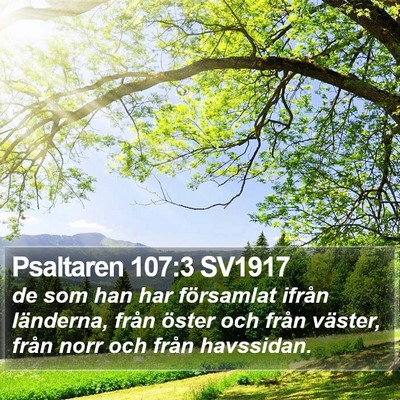 Psaltaren 107:3 SV1917 Bible Verse Image