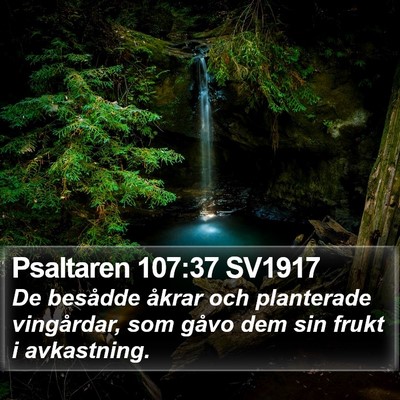Psaltaren 107:37 SV1917 Bible Verse Image