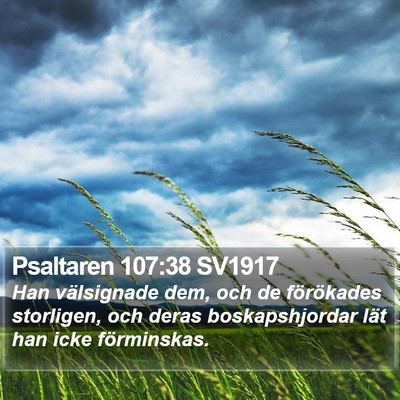Psaltaren 107:38 SV1917 Bible Verse Image
