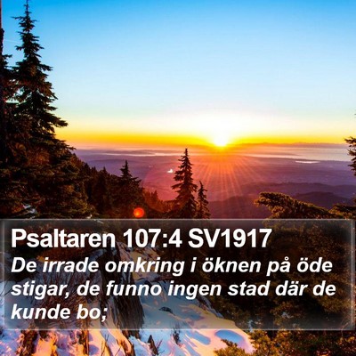 Psaltaren 107:4 SV1917 Bible Verse Image