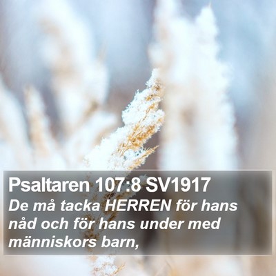 Psaltaren 107:8 SV1917 Bible Verse Image