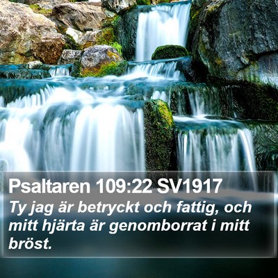 Psaltaren 109:22 SV1917 Bible Verse Image
