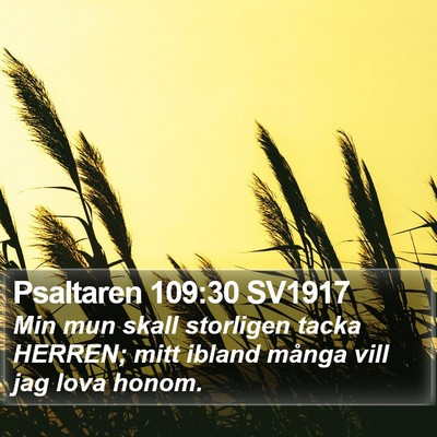Psaltaren 109:30 SV1917 Bible Verse Image