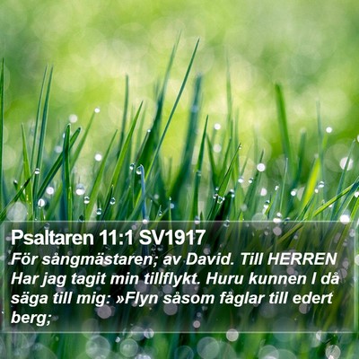 Psaltaren 11:1 SV1917 Bible Verse Image