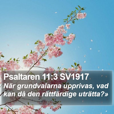 Psaltaren 11:3 SV1917 Bible Verse Image