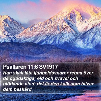 Psaltaren 11:6 SV1917 Bible Verse Image